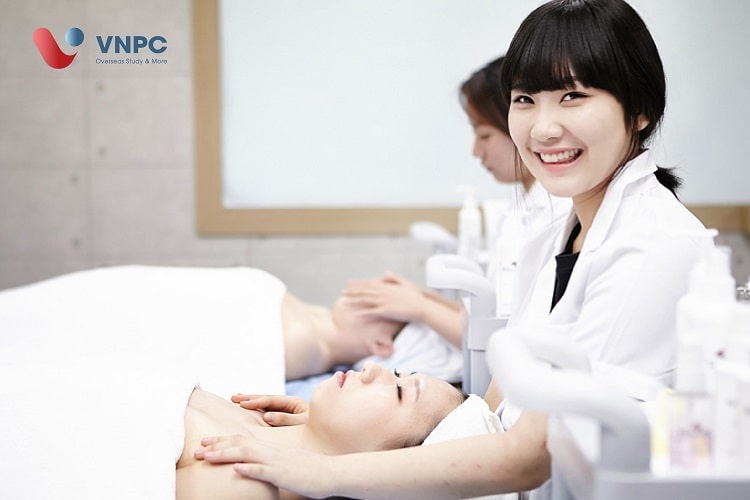 Đăng nhập King88 vina nhận +888K Nhật Bản nên chọn ngành nào